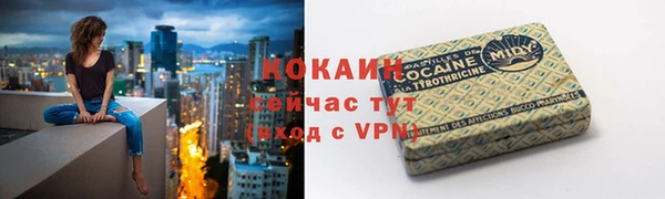 гидра Рославль