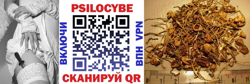 Псилоцибиновые грибы Cubensis  Бузулук 